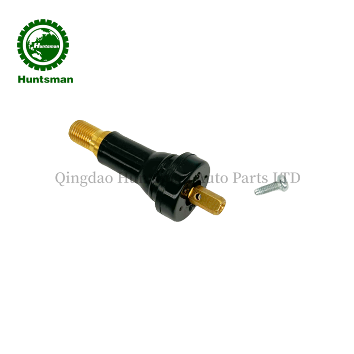 tubeless valve car