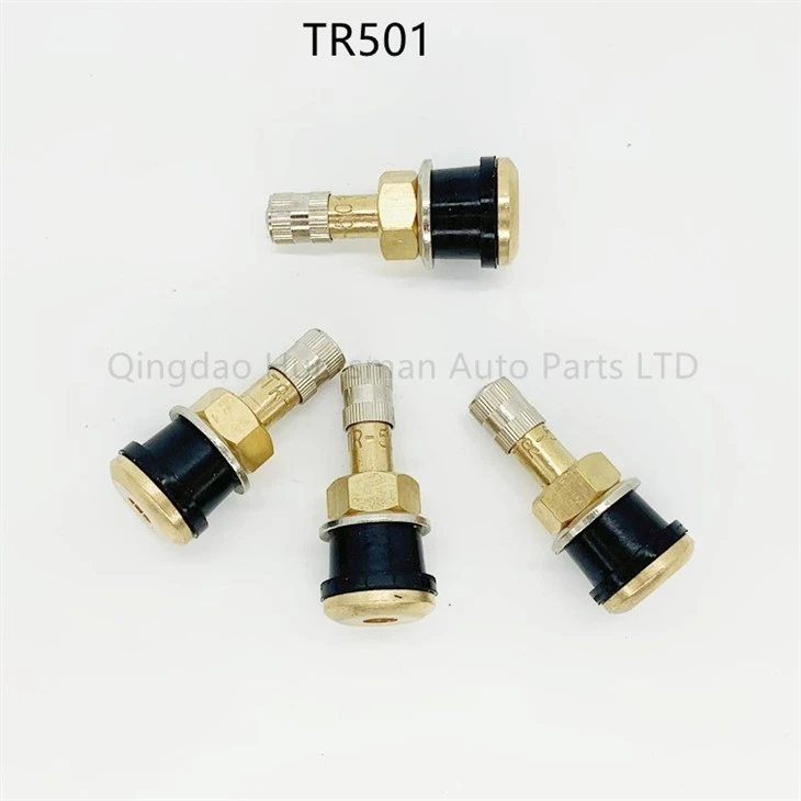 tr501 valve stem