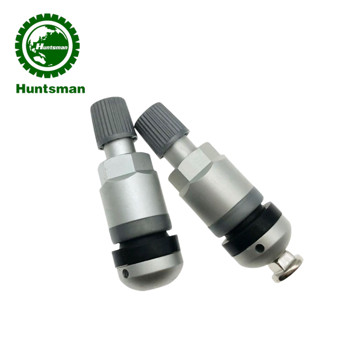 BMW TPMS Valve Stem